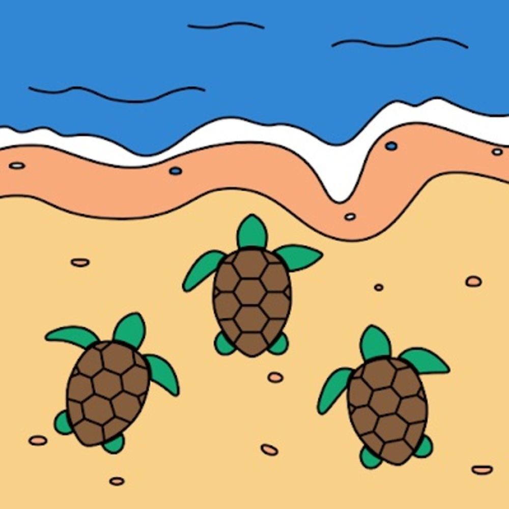 Meet your Posher, Cayleigh